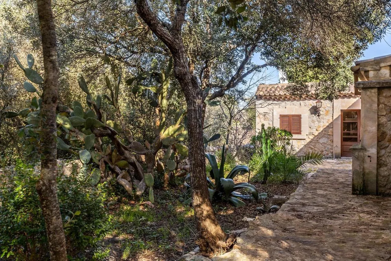 Roig Petit Villa Pollenca
